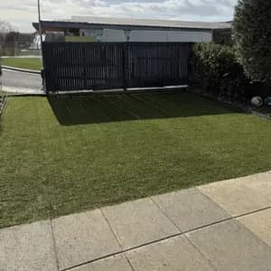 Après — jardin aménagé avec pelouse soignée et allée pavée