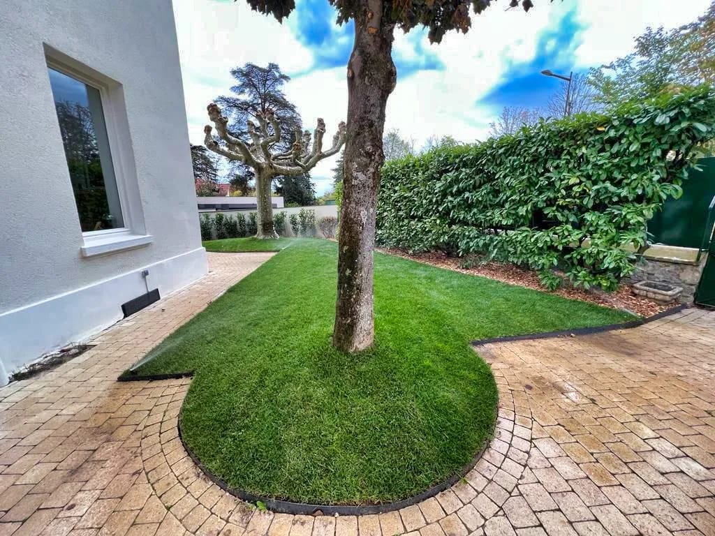 Pelouse soignée avec arbre et haie taillée — LM Espace Vert