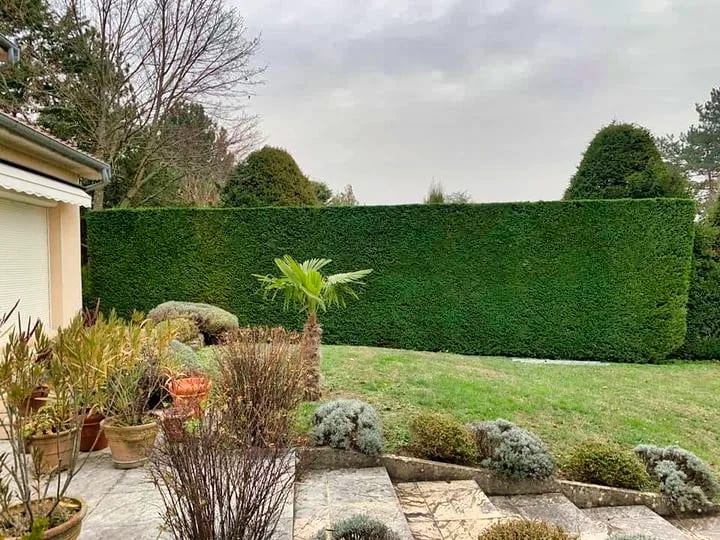 Jardin paysager avec haie, massifs et terrasse — LM Espace Vert